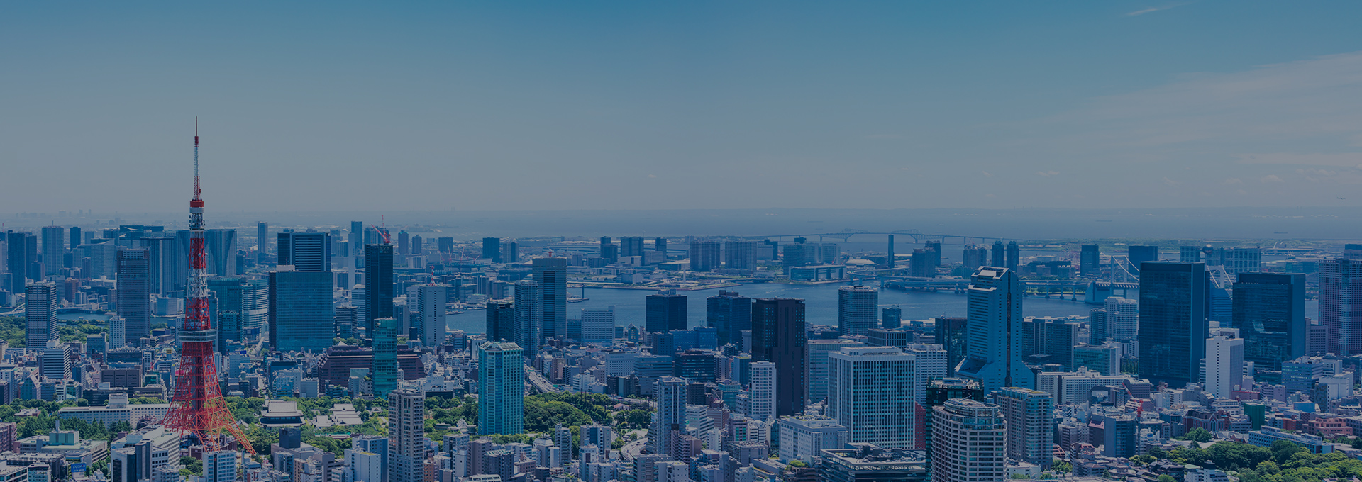 法律事務所 Blue Works Law